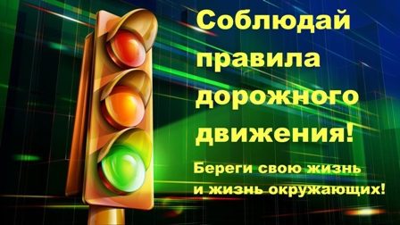 Безопасность дорожного движения и профилактика травматизма на дорогах с участием детей (видео)