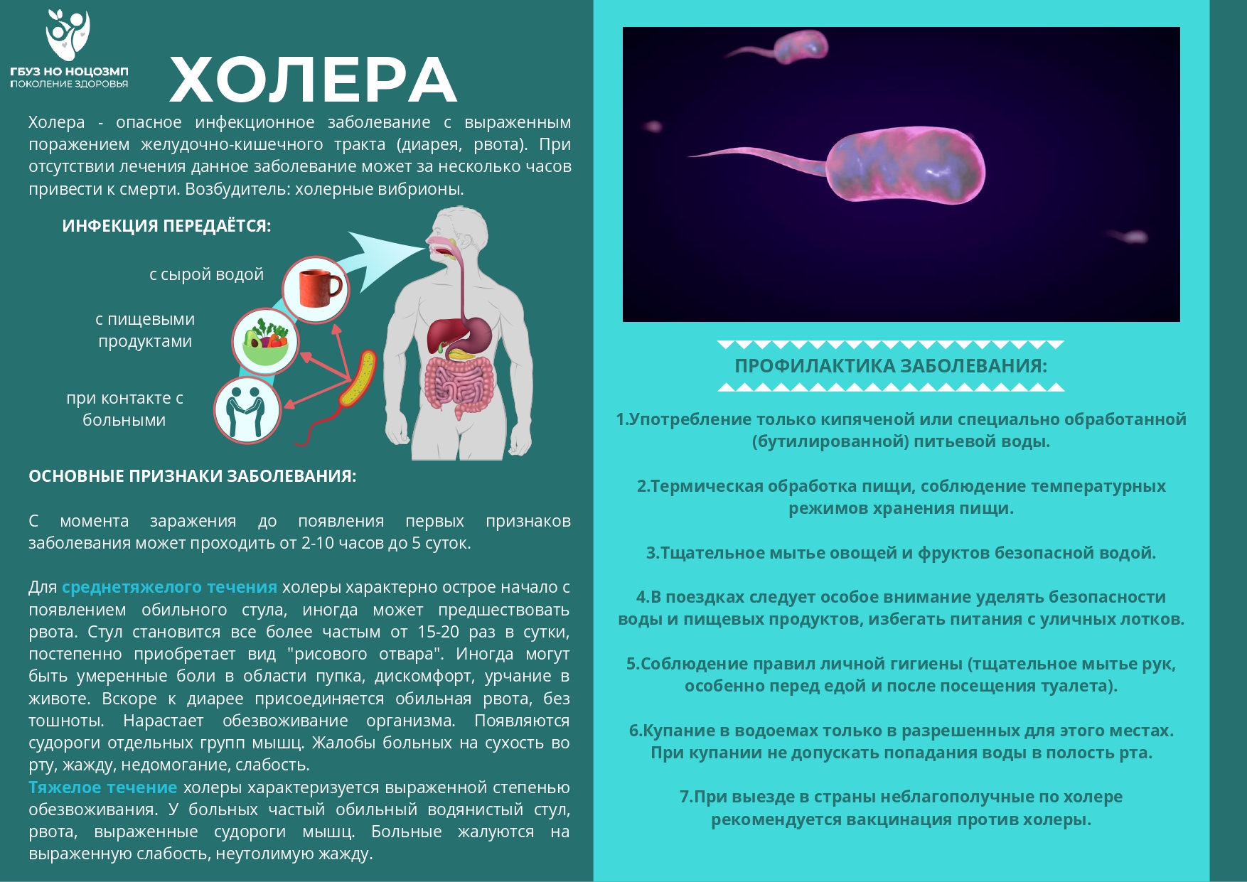 Профилактика холеры
