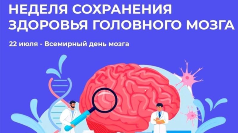 22 июля во всем мире отмечается День мозга
