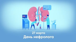 27 марта — День нефролога