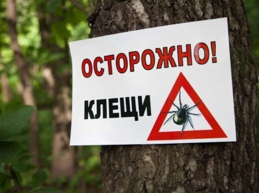 Профилактика клещевых инфекций