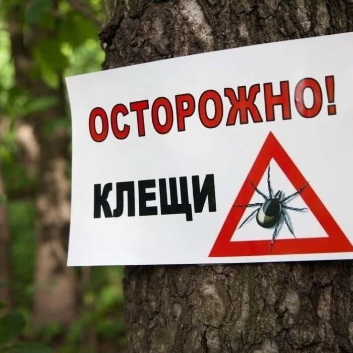 Профилактика клещевых инфекций