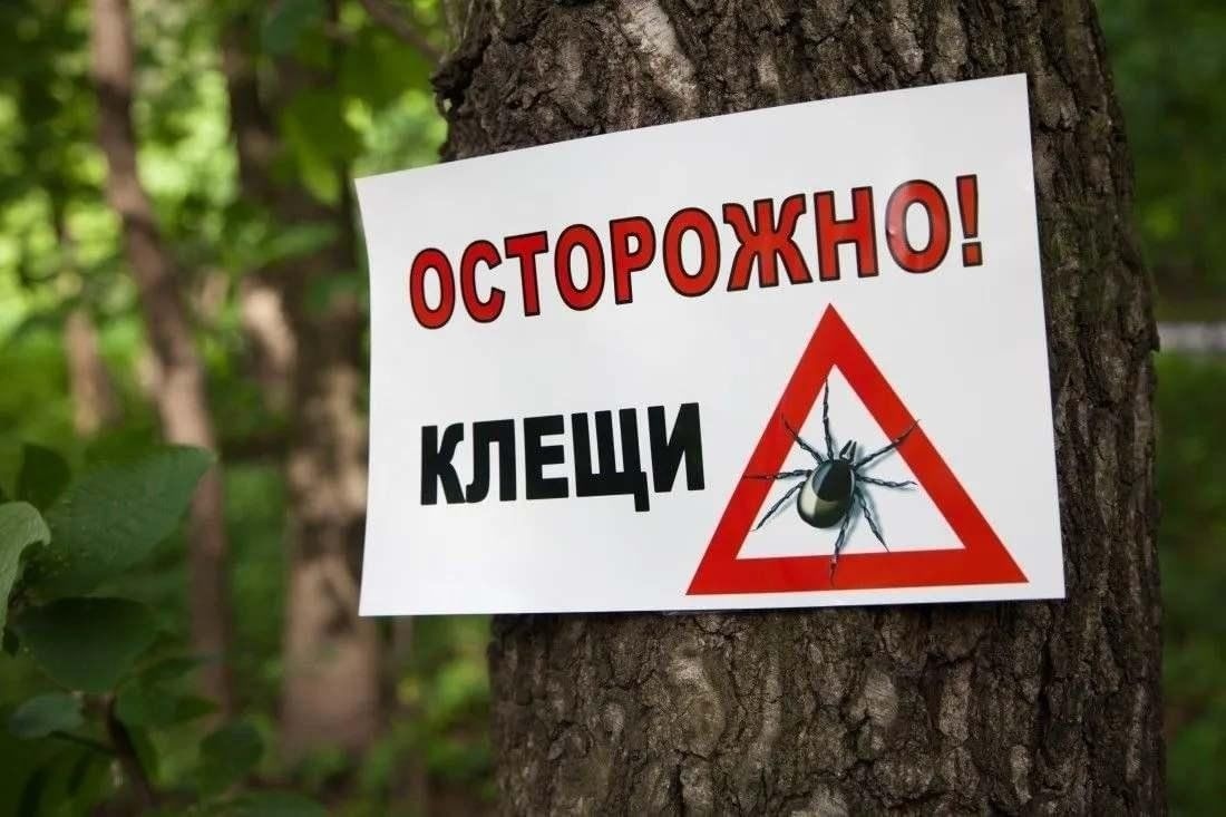 Профилактика клещевых инфекций